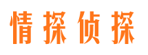 尼木外遇出轨调查取证